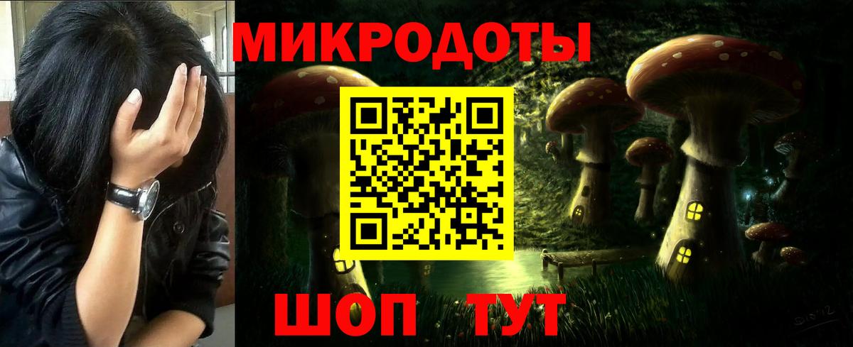 купить закладку  Галлюциногенные грибы MAGIC MUSHROOMS  Псилоцибиновые грибы GOLDEN TEACHER  Вход с VPN  Калуга 