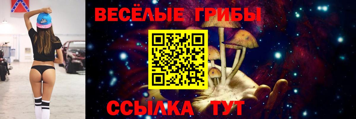 Псилоцибиновые грибы Cubensis Калуга